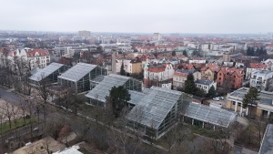 Palmiarnia widziana z perspektywy drona