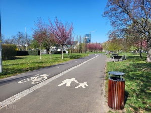 Droga rowerowa w parku im. Tadeusza Mazowieckiego - widok w kierunku ul. Garbary