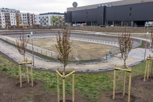 Nowe drzewa przy zbiorniku retencyjnym