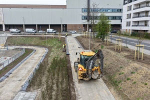 Pracownicy podczas sadzenia nowej roślinnosci