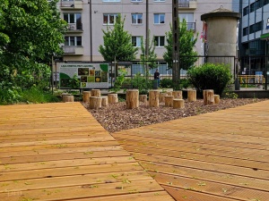 tak zmienił się teren przy Zespole Szkolno-Przedszkolnym nr 16 przy ul. Krakowskiej
