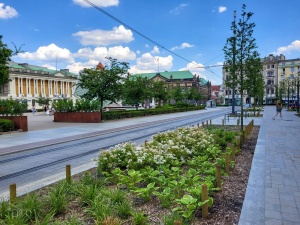 Południowa strona placu Wolności