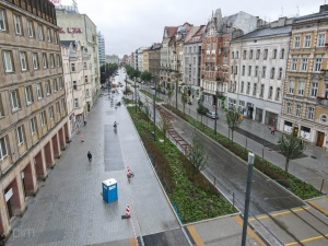 Zieleń w rejonie ul. Gwarnej widziana z lotu ptaka
